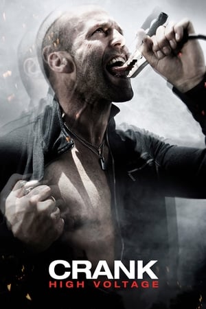 Crank: High Voltage (2009) Hindi Dual Audio 300MB