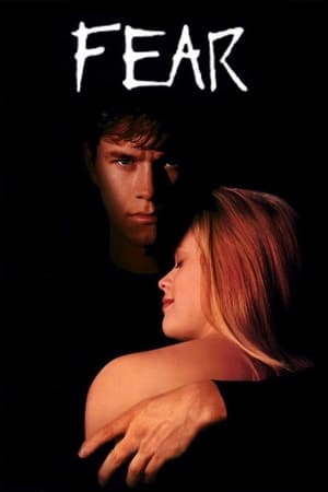 Fear (1996) Hindi Dual Audio [850MB]