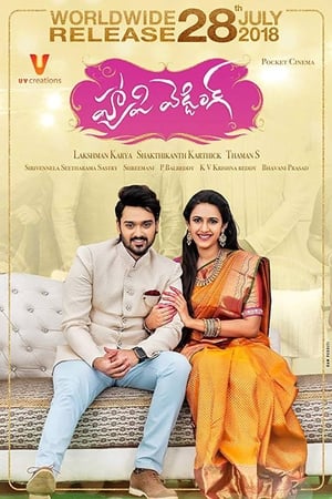 Happy Wedding (2018) (Hindi - Telugu) Dual Audio [1.4GB]
