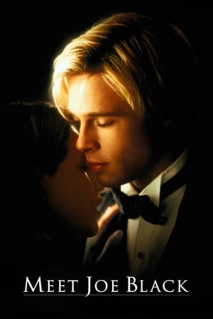 Meet Joe Black 1998 Dual Audio Hindi 550MB