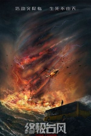 Super Typhoon 2020 Hindi Dual Audio –