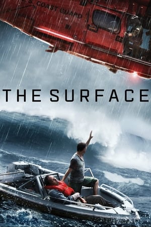 The Surface (2014) Hindi Dual Audio 300MB